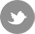 social-twitter