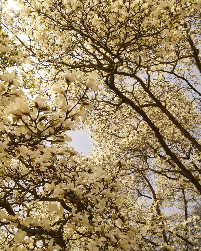 This image has an empty alt attribute; its file name is IMG_20210401_150723_290-scaled-819x1024.jpg